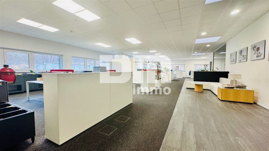 Gewerbeensemble Produktionshallen + Bürogebäude und umfangreiche Freiflächen - Hauptbüro / Gemeinschaftsbüro